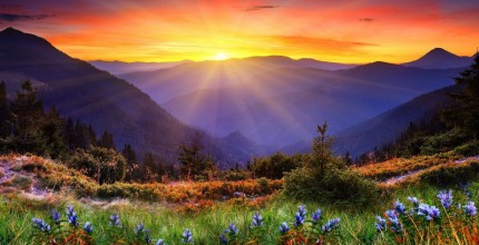 ԴՐՎԱԳ ԱՎԱՆԱԿԻ ԵՎ ԱՐԾՎԻ ՀԵՏ ԶՐՈՒՅՑԻՑ