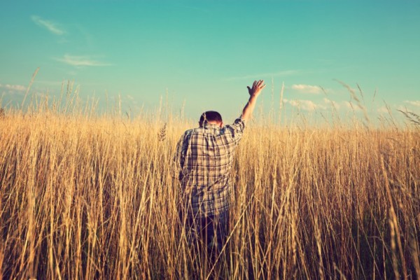 ՏԵՍԻԼ։ ԻՆՉ Է ՏԵՍԻԼԸ։ ՄԱՍ 2