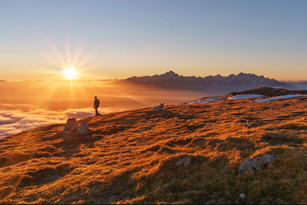 ԲԱՐՁՐՅԱԼԻ ԾԱԾԿՈՑԻ ՏԱԿ ԲՆԱԿՎՈՂԻ ԱՂՈԹՔ