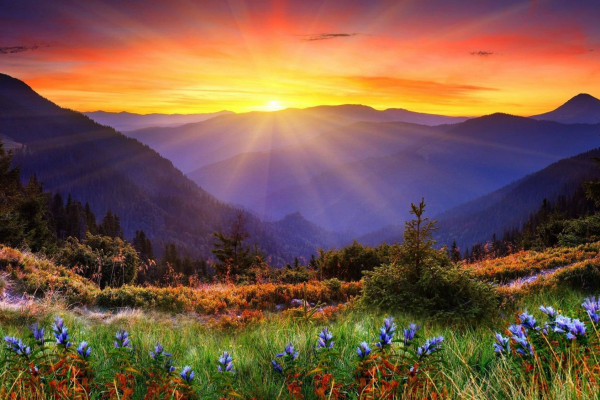 ԴՐՎԱԳ ԱՎԱՆԱԿԻ ՈՒ ԱՐԾՎԻ ՀԵՏ ԶՐՈՒՅՑԻՑ